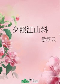 《夕照江山斜》
